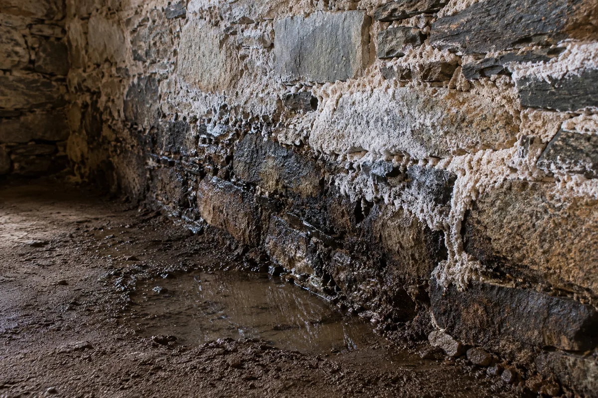 Bas d’un mur de cave en moellons marqué par l’humidité et le salpêtre